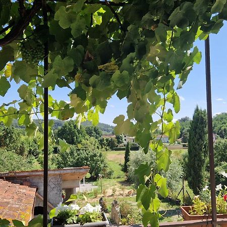 카판노리 La Casa Nella Vigna Colline Del Vino 아파트 외부 사진