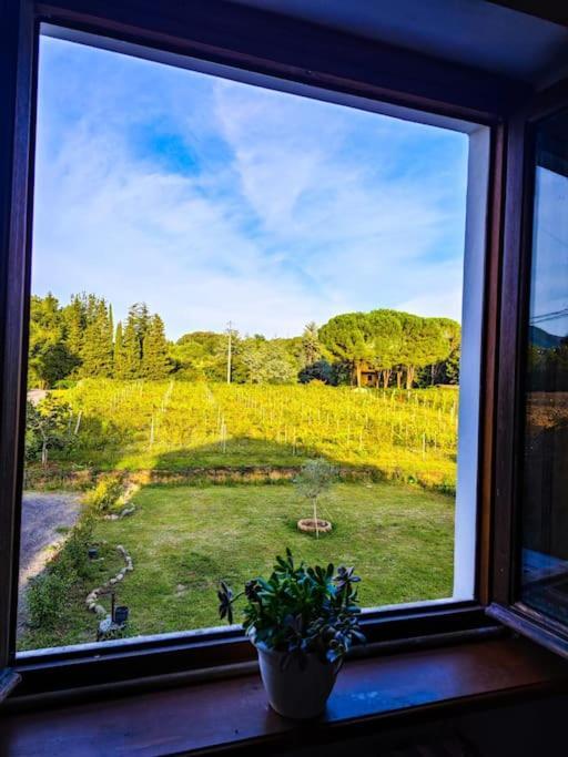 카판노리 La Casa Nella Vigna Colline Del Vino 아파트 외부 사진