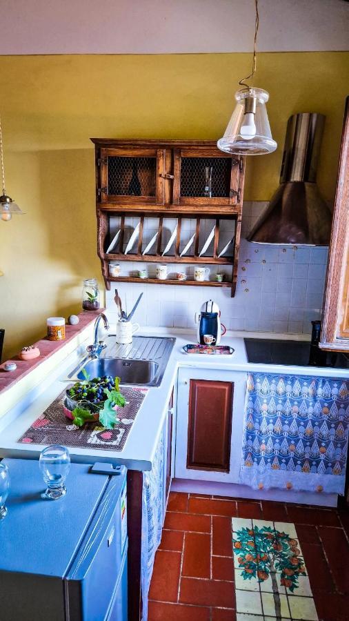 카판노리 La Casa Nella Vigna Colline Del Vino 아파트 외부 사진