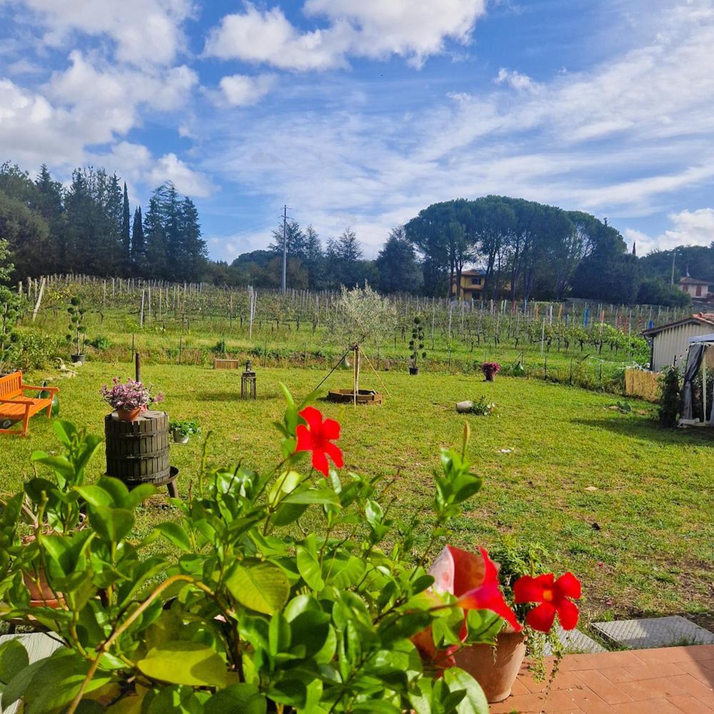 카판노리 La Casa Nella Vigna Colline Del Vino 아파트 외부 사진