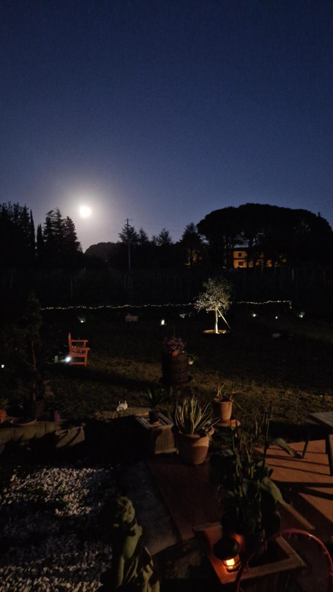 카판노리 La Casa Nella Vigna Colline Del Vino 아파트 외부 사진