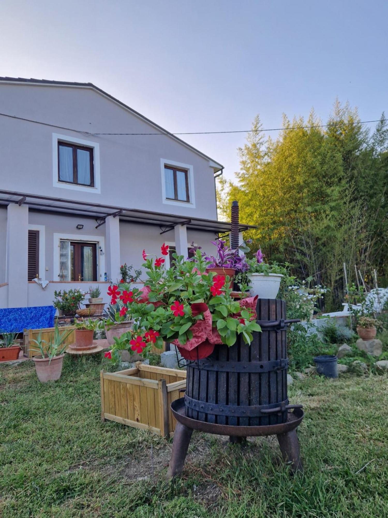 카판노리 La Casa Nella Vigna Colline Del Vino 아파트 외부 사진