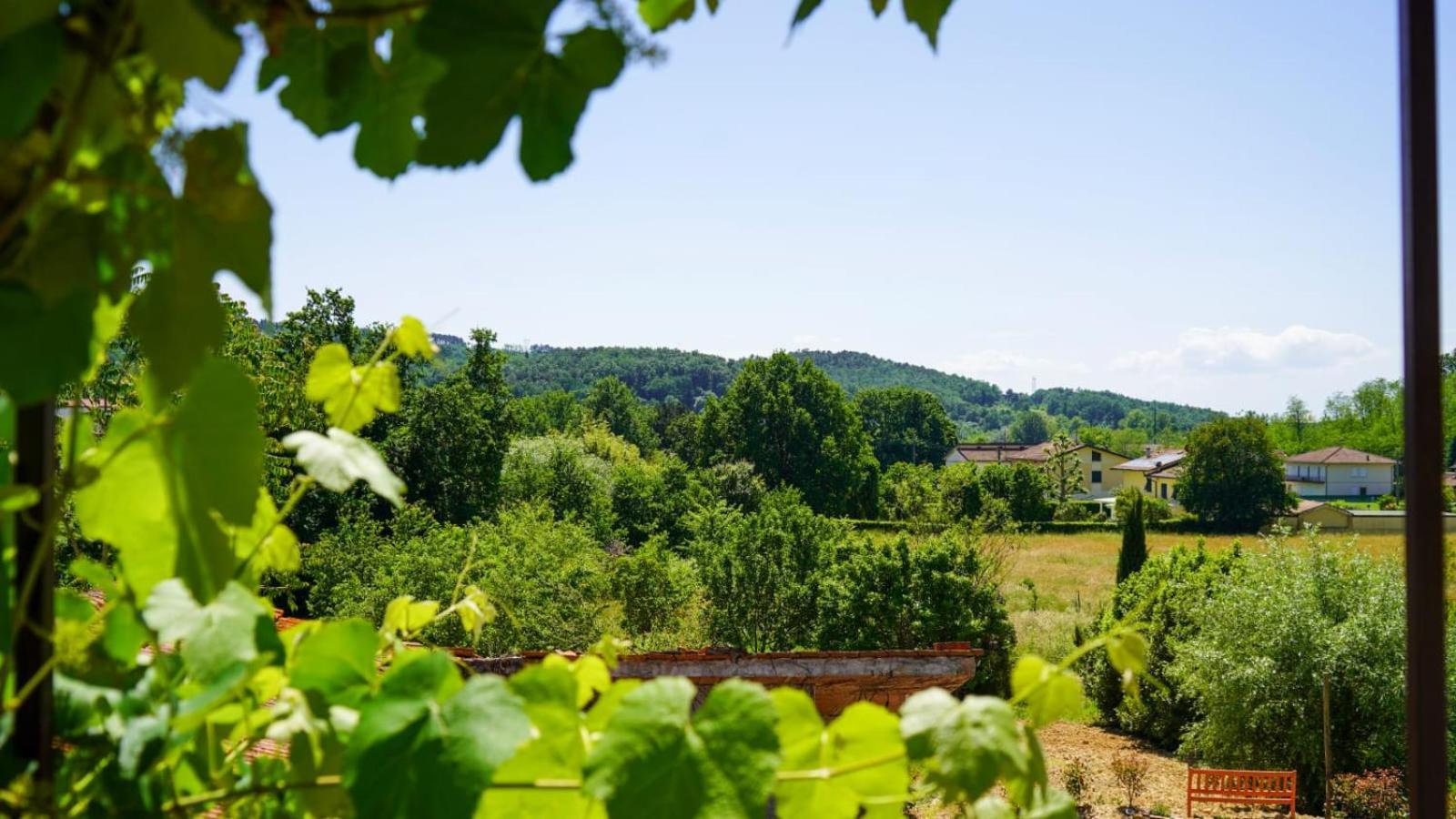 카판노리 La Casa Nella Vigna Colline Del Vino 아파트 외부 사진