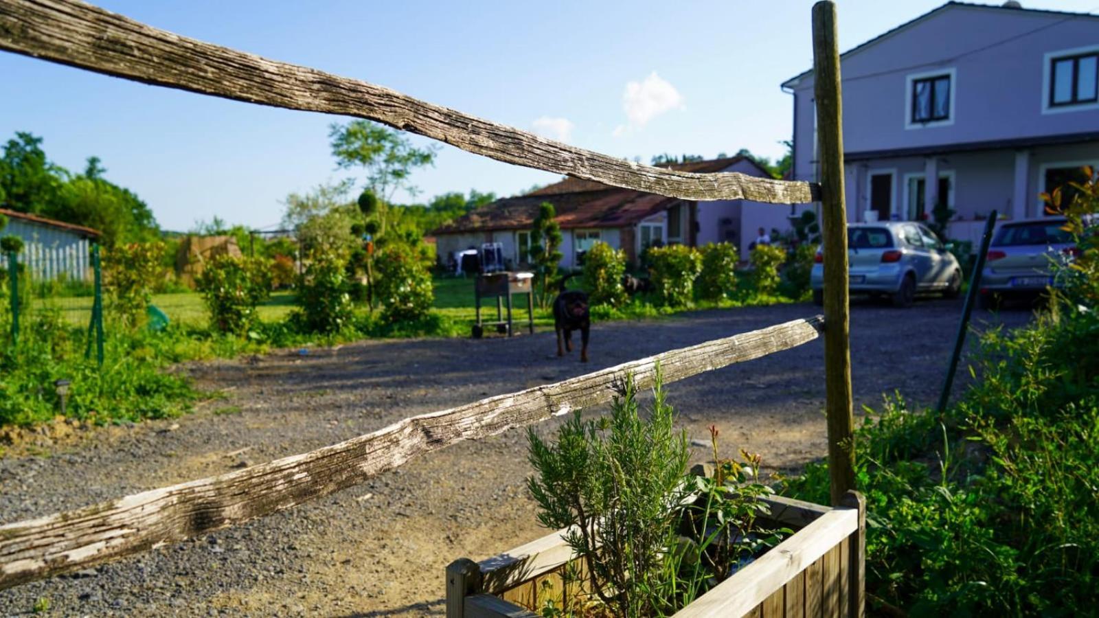 카판노리 La Casa Nella Vigna Colline Del Vino 아파트 외부 사진