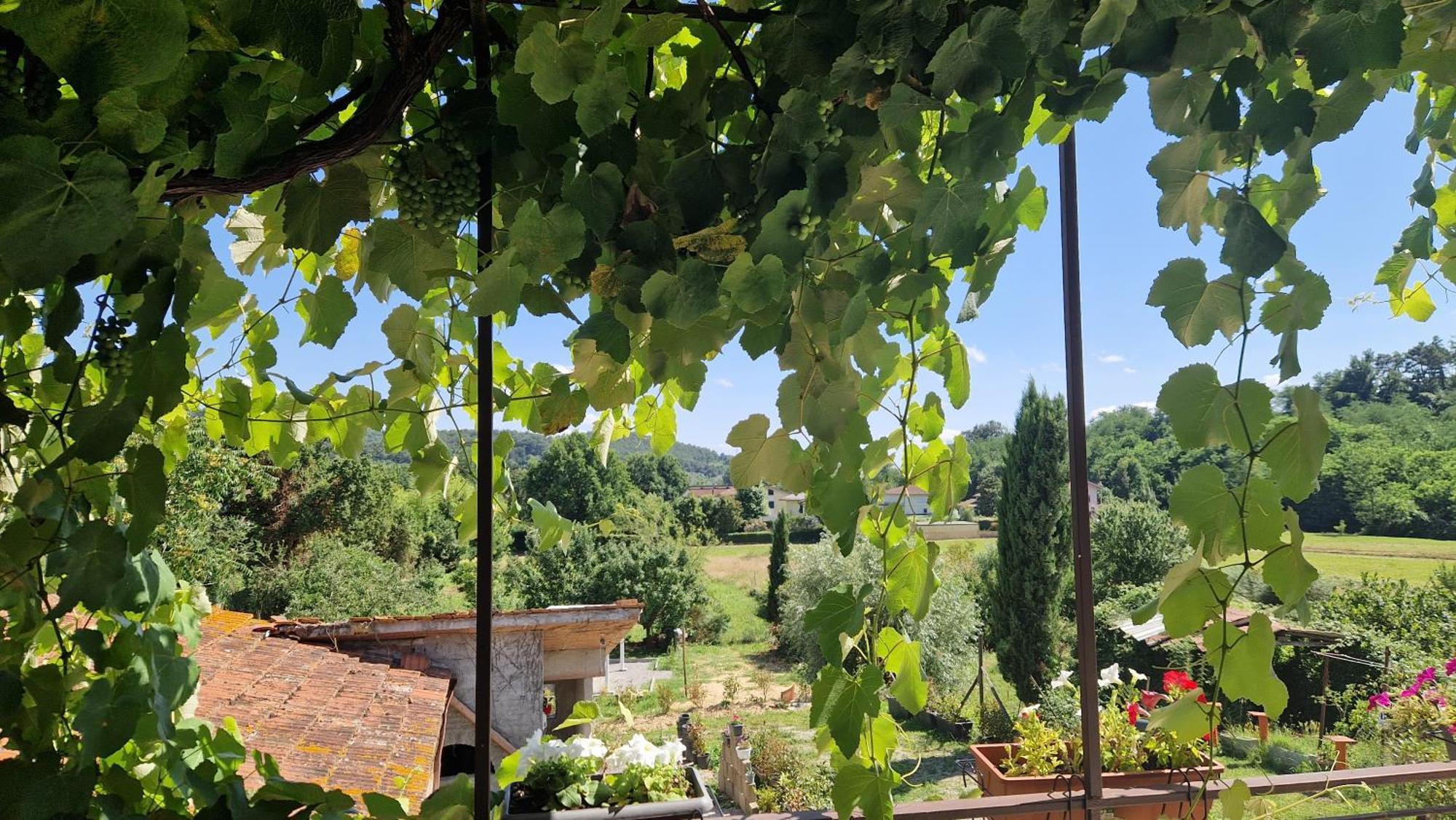 카판노리 La Casa Nella Vigna Colline Del Vino 아파트 외부 사진